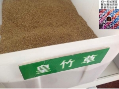 買皇竹草多少錢一斤合算？