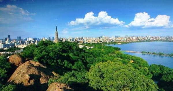 學(xué)習(xí)國外苗木行業(yè)經(jīng)驗，搶先了解國內(nèi)市場動態(tài)