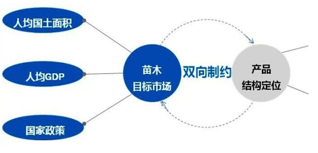 學(xué)習(xí)國外苗木行業(yè)經(jīng)驗，搶先了解國內(nèi)市場動態(tài)