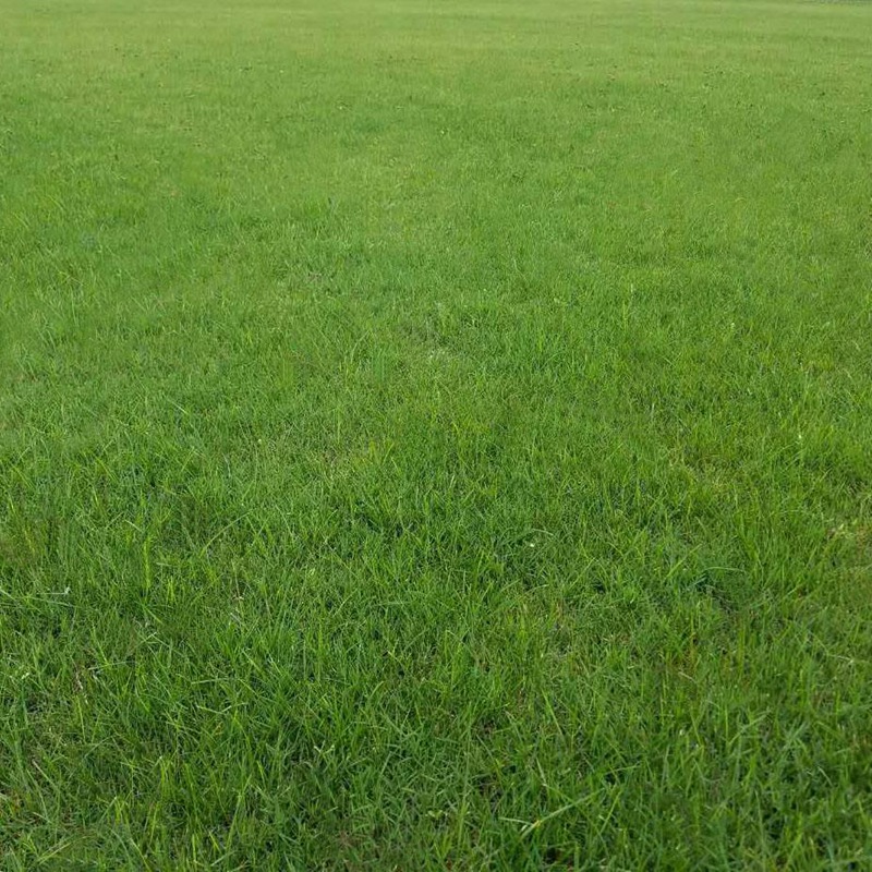1647572474390330.jpg