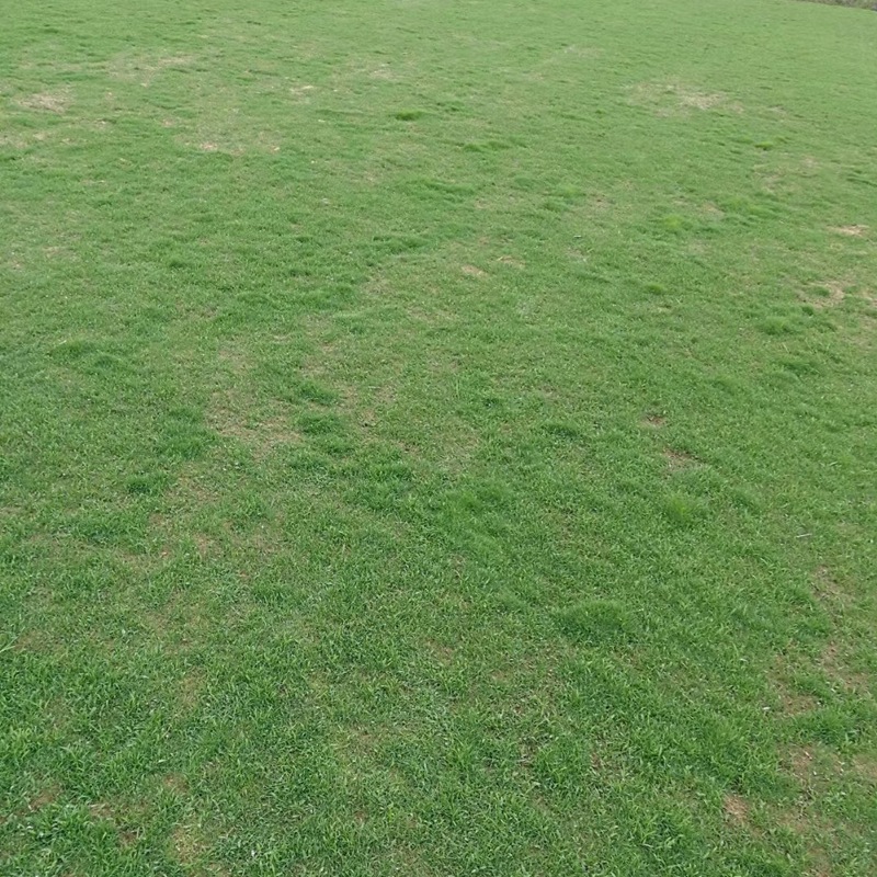 1647572668153489.jpg