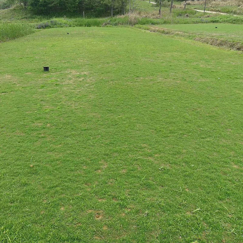 1647572668288996.jpg